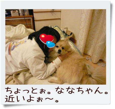 img20090310193217815.jpg