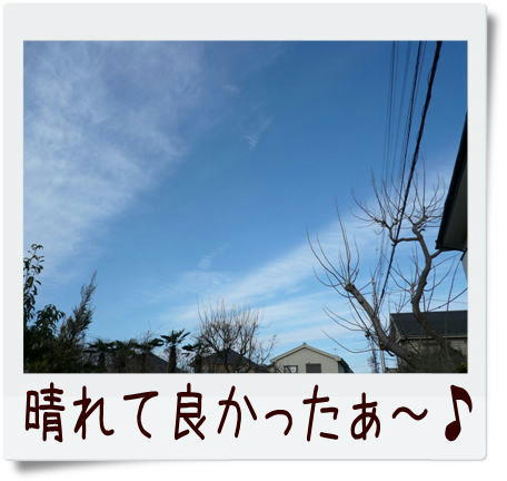 img20090309160625174.jpg