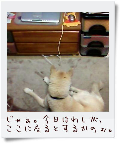 img20090309161641670.jpg
