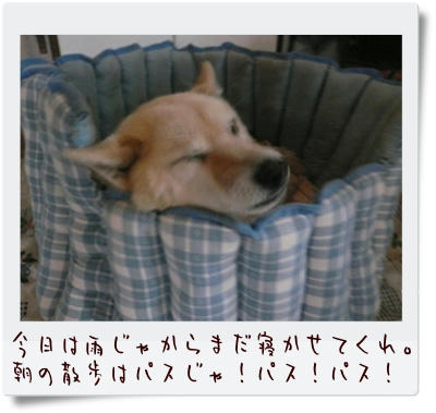 3b577a0d.jpg