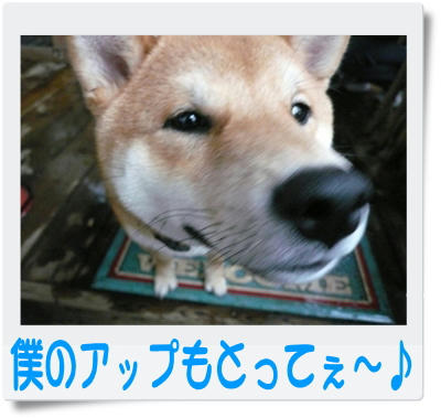 img20090315203041905.jpg