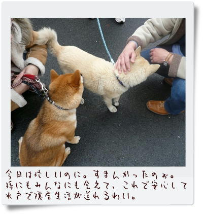 img20090315204918466.jpg