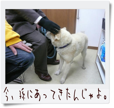 img20090315225103343.jpg