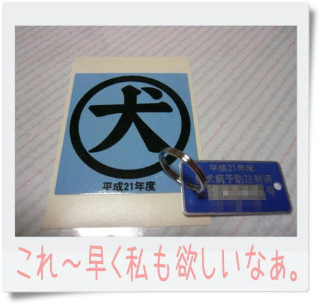 img20090315225714851.jpg