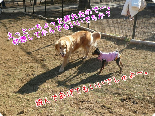 P1080143.JPG