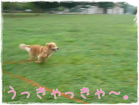 7f1a8c60.jpg