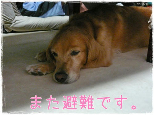 78b97ae1.jpg