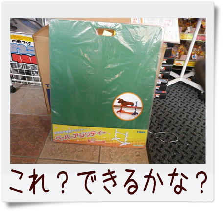 img20090203211744587.jpg