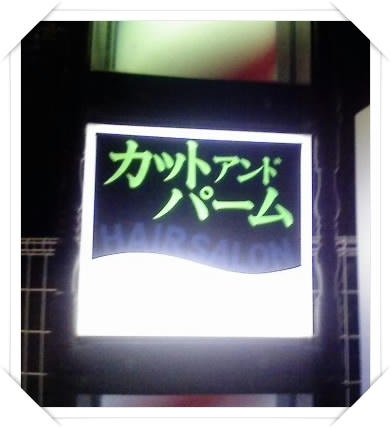 img20090125203245054.jpg