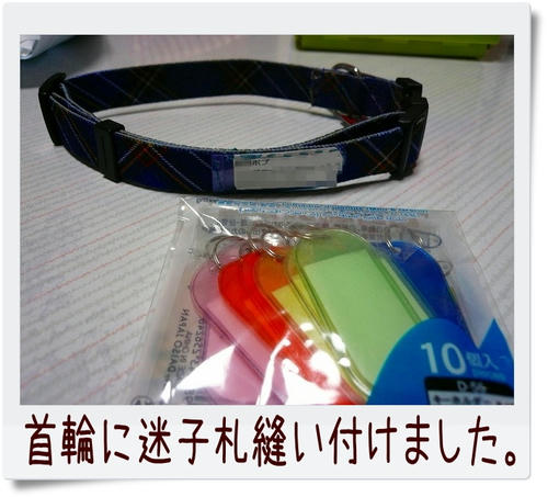 img20090117222007577.jpg