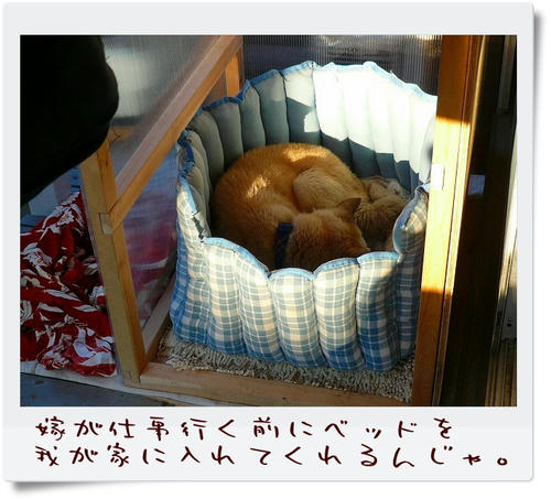 img20090117204854060.jpg