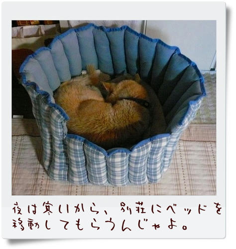 img20090117204822669.jpg