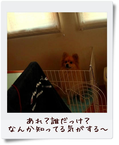 img20090104150128257.jpg