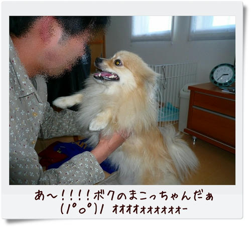 img20090104150858929.jpg