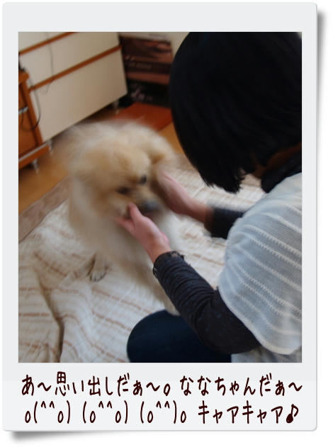img20090104151010160.jpg