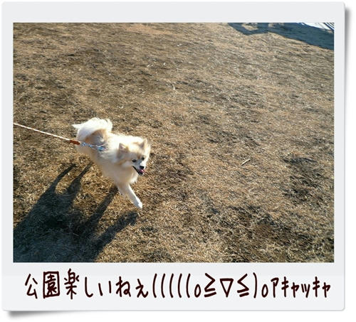 img20090104151504390.jpg