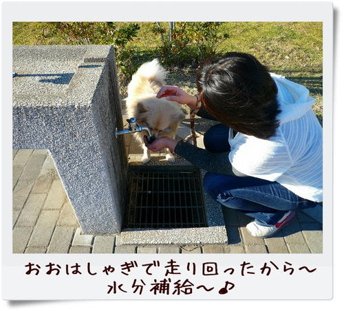 img20090104151557618.jpg