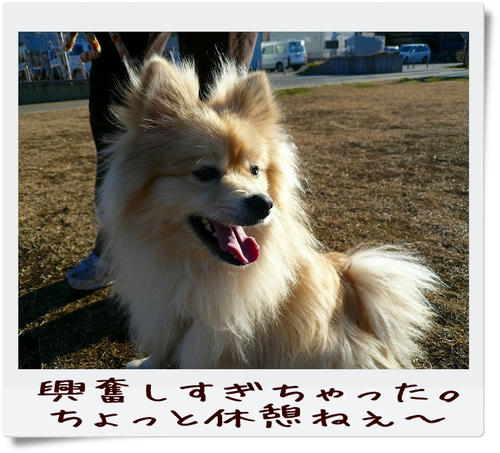 img20090104151649184.jpg
