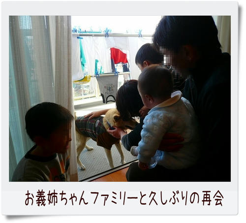 img20090103214222315.jpg