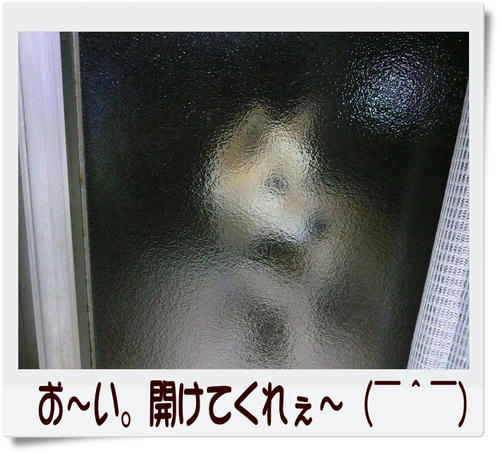 img20081203205819800.jpg
