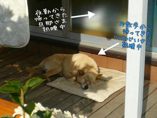 img20081206215937403.jpg