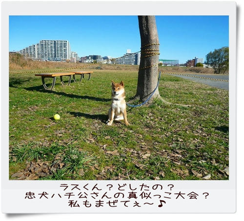 img20081207182743342.jpg