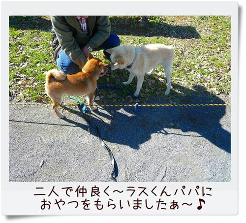 img20081207182826014.jpg