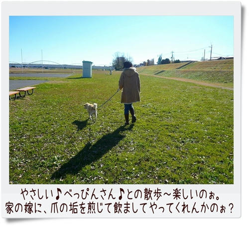 img20081207182913611.jpg