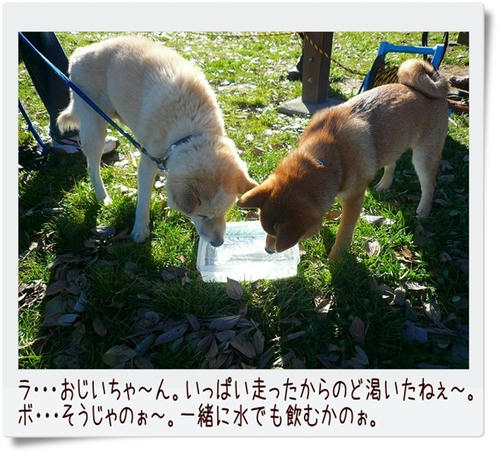 img20081207183613583.jpg