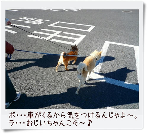 img20081207183939260.jpg