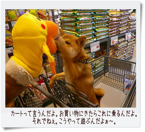 img20081207184318298.jpg