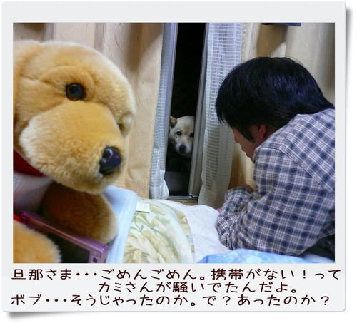 img20081209214708273.jpg