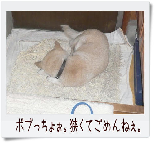 img20081209215416531.jpg
