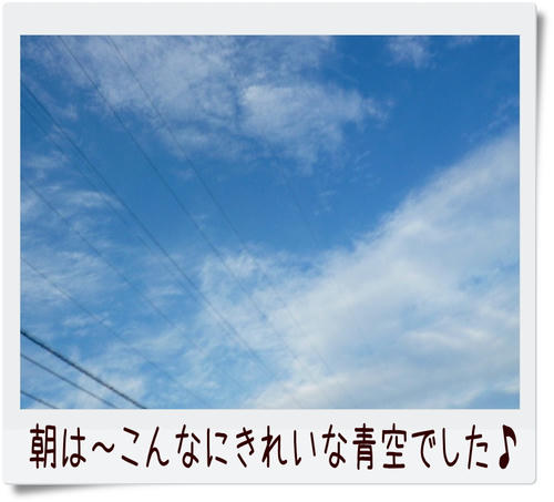 img20081209221313742.jpg