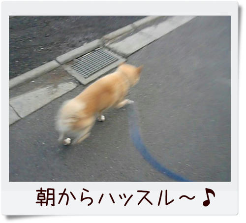 img20081209222126160.jpg