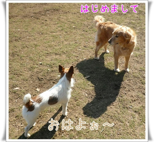 P1080425.JPG