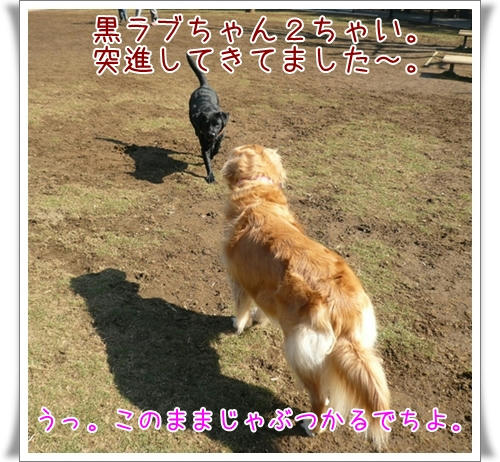 P1080441.JPG