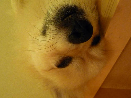 img20081107201116602.jpg