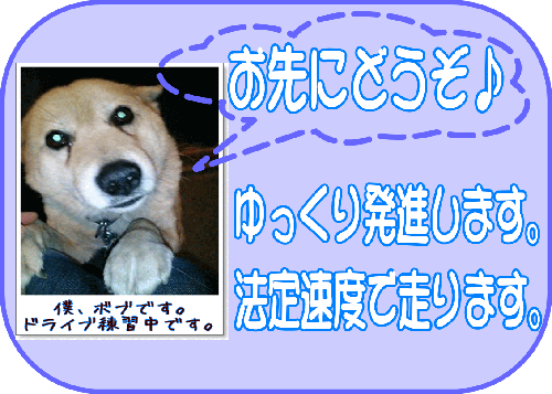 img20081115224013987.gif