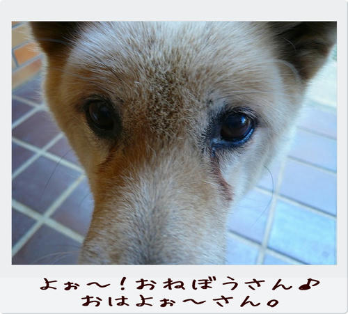 img20081124200618310.jpg