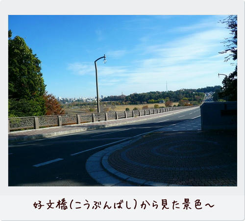 img20081124201828348.jpg