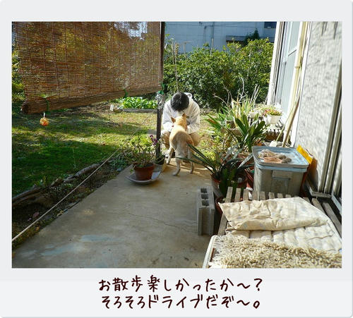 img20081124202426897.jpg