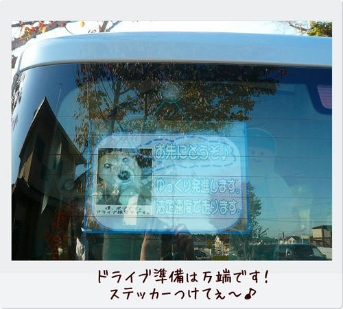 img20081124202511181.jpg