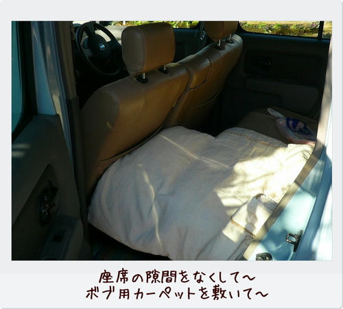 img20081124202623744.jpg