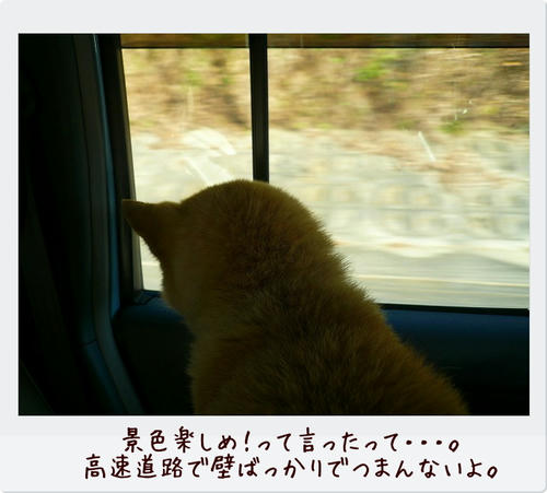 img20081124203017212.jpg