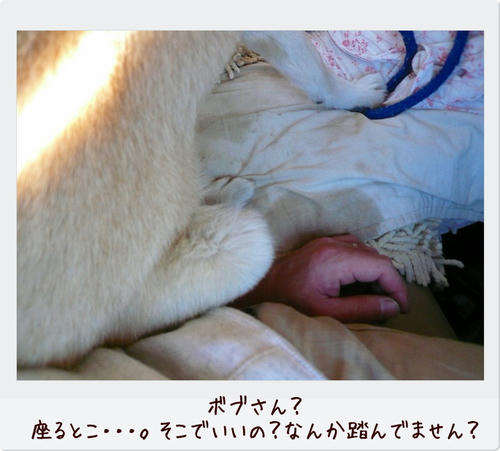 img20081124203234525.jpg