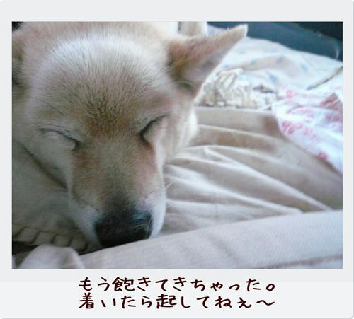 img20081124203444011.jpg