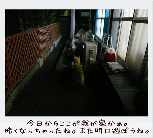 img20081124203515368.jpg