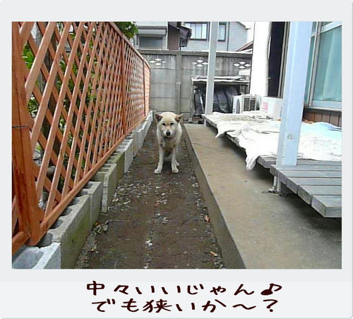 img20081124221938310.jpg