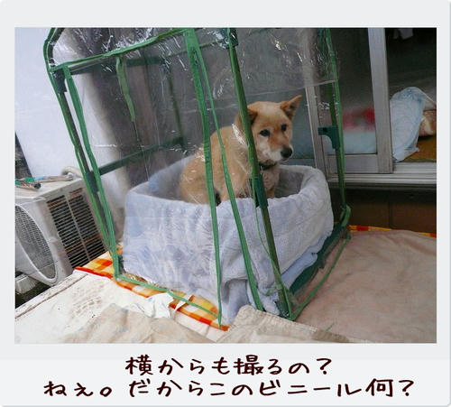 img20081124222805398.jpg